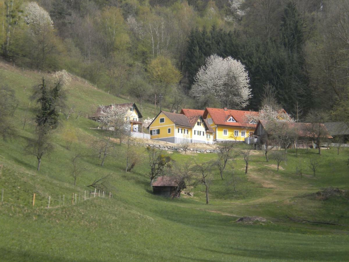 Buchschneider - Ferienhaus Maier - Landhof Schwarzautal Exterior foto